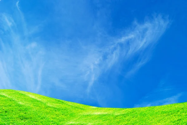 Голубое небо и зеленая трава — стоковое фото