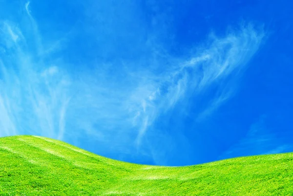 Céu azul e grama verde — Fotografia de Stock