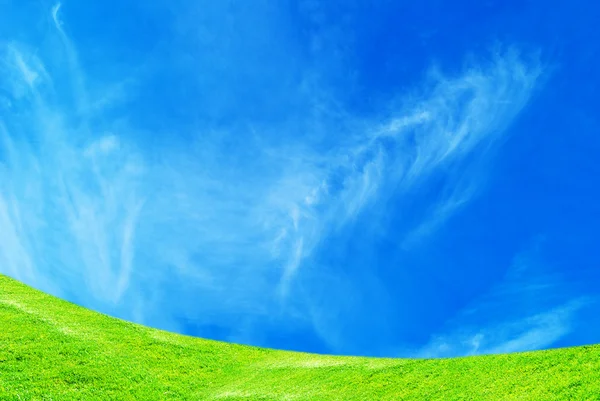 青空と緑の草 — ストック写真