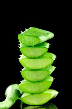 aloe yaprak siyah arka plan üzerine izole dilimlenmiş