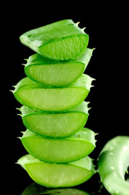 aloe yaprak siyah arka plan üzerine izole dilimlenmiş