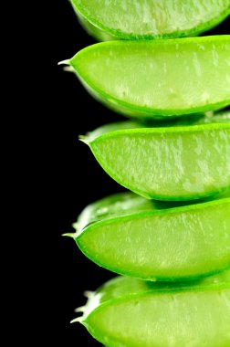aloe yaprak siyah arka plan üzerine izole dilimlenmiş. Makro