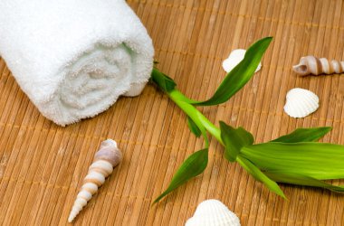 spa bambu arka plan ayarla