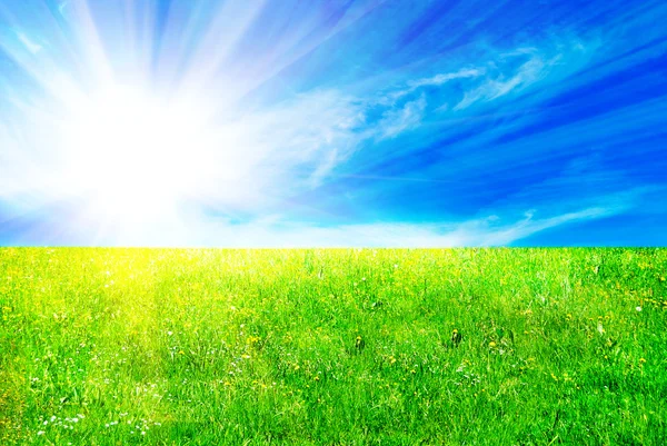 Blå himmel och gräs — Stockfoto