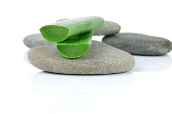 Sliced aloe leaves on the stone isolated on white background — Stock Photo, Image