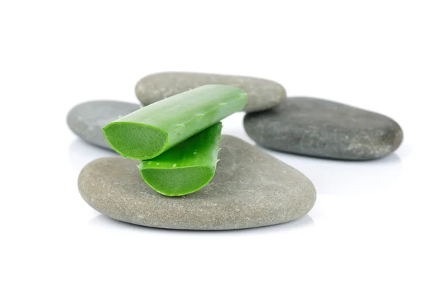Sliced aloe leaves on the stone isolated on white background — Stock Photo, Image