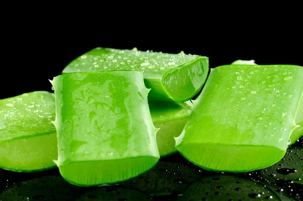 Hoja de aloe en rodajas aislada sobre fondo negro — Foto de Stock