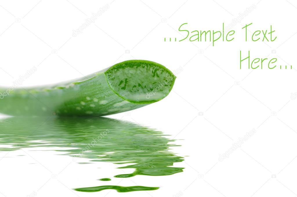 Sliced aloe leaf in water isolated on white background