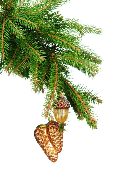 松の枝と? hristmas 装飾 — ストック写真