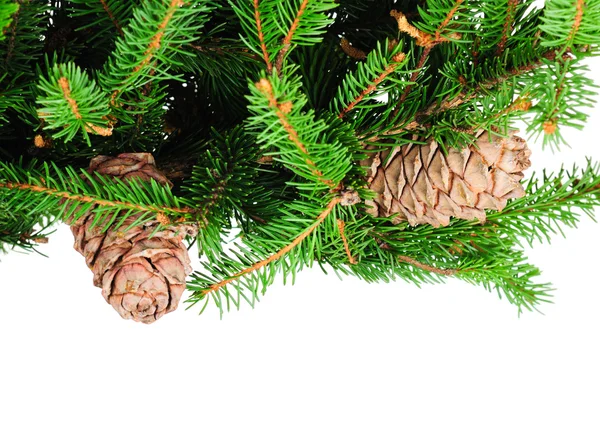 Ramas de pino y adornos navideños — Foto de Stock