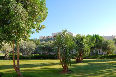 Güzel park