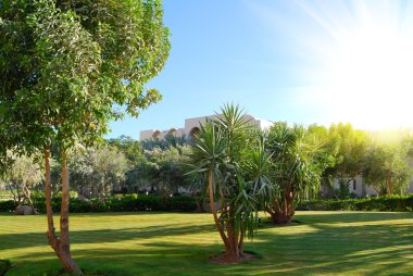 Güzel park