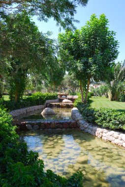 Güzel park