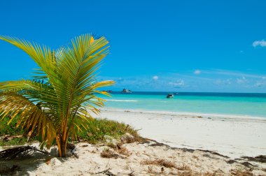Seascape.Seychelles Adası