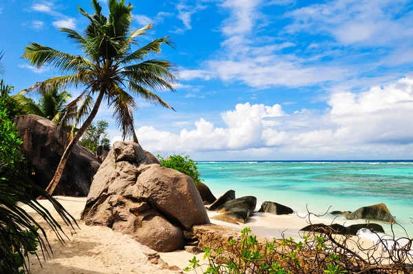 Paesaggio marino. Le Seychelles — Foto Stock