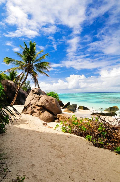 Paysage marin. Les Seychelles — Photo