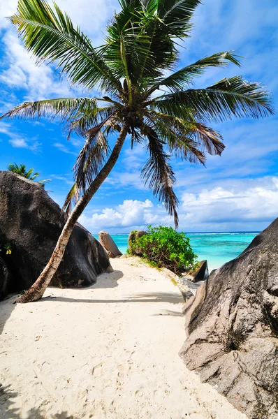 Paesaggio marino. Le Seychelles — Foto Stock