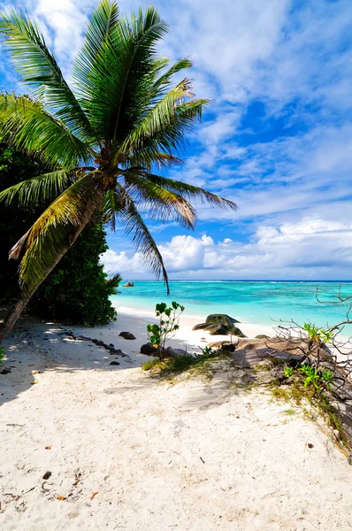 Paesaggio marino. Le Seychelles — Foto Stock