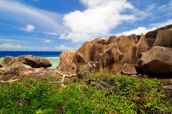 Zeegezicht. de Seychellen — Stockfoto