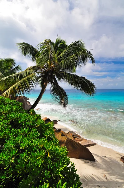 Seascape.Seychelles ö — Stockfoto