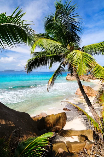 Seascape.Seychelles ö — Stockfoto