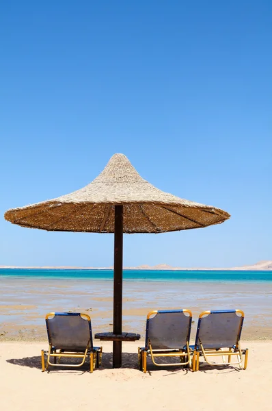 Tropisch strand met lege ligstoelen — Stockfoto