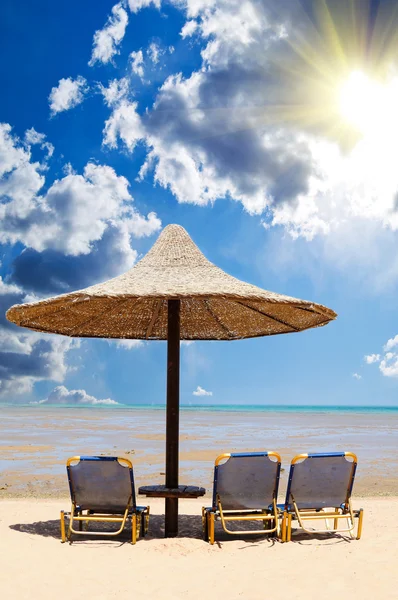 Tropisch strand met lege ligstoelen — Stockfoto