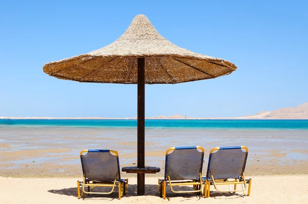 Tropisch strand met lege ligstoelen — Stockfoto