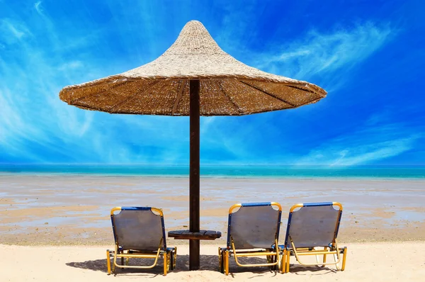 Tropical beach with empty loungers — Stock Photo, Image