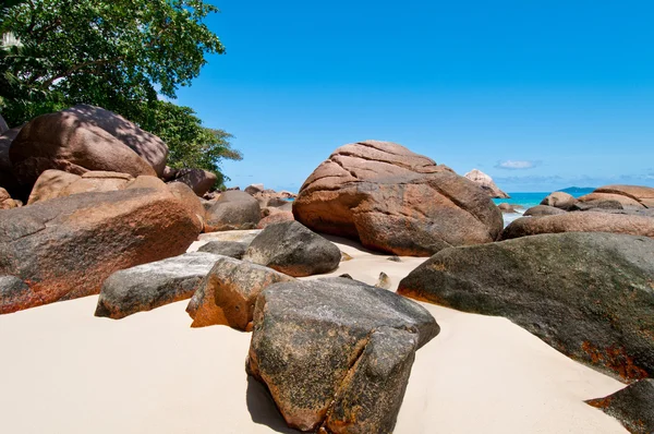 Tropical beach — Stock Photo, Image