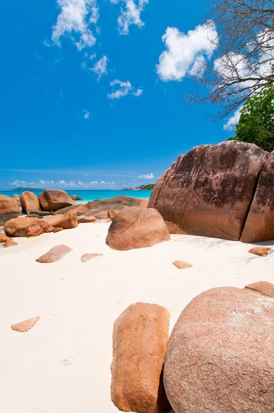 Spiaggia tropicale — Foto Stock