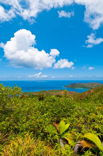 Ocean view — Stock Photo, Image