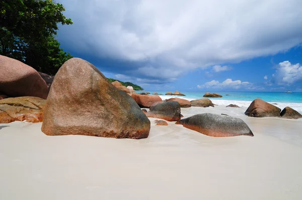 Playa tropical —  Fotos de Stock
