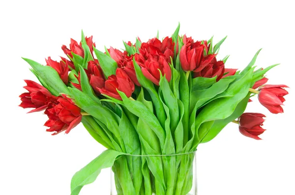 Bouquet de tulipes dans le vase — Photo