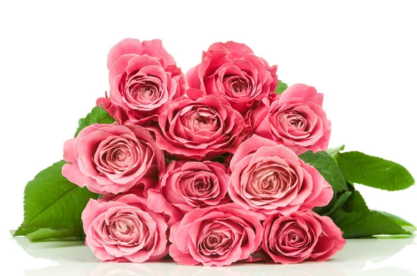 Rosas cor de rosa — Fotografia de Stock