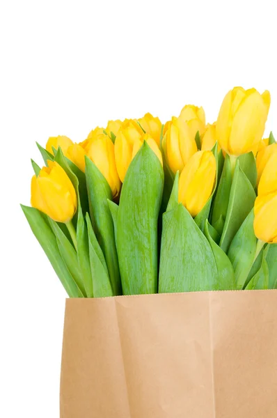 Tulpen in de papieren zak — Stockfoto