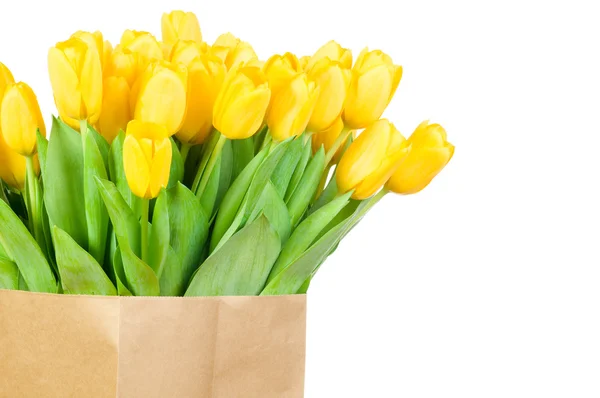 Tulipanes en la bolsa de papel — Foto de Stock