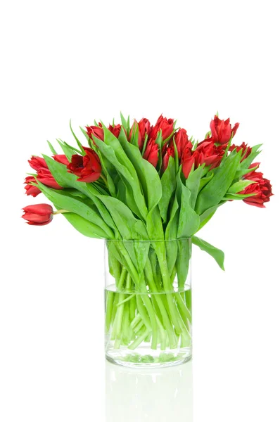 Tulpenstrauß in der Vase — Stockfoto