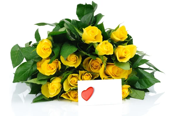 Yellow roses isolated on white background — Stock Photo, Image