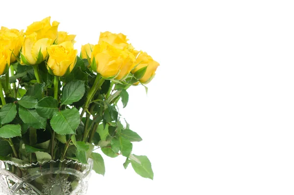 Rosas amarelas no vaso isoladas sobre fundo branco — Fotografia de Stock