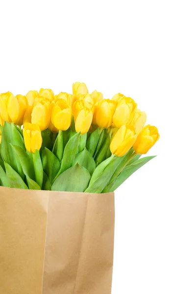 Tulpen in der Papiertüte — Stockfoto