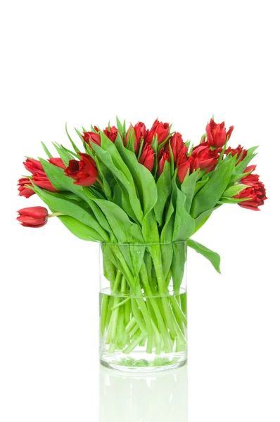 Buquê de tulipas no vaso — Fotografia de Stock
