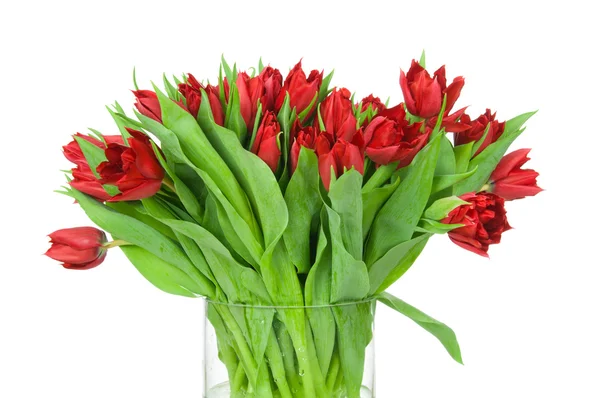 Boeket van tulpen in de vaas — Stockfoto