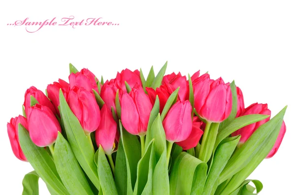 Buquê de tulipas isoladas em fundo branco — Fotografia de Stock