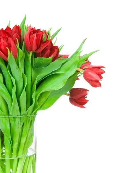 Bouquet de tulipes dans le vase — Photo