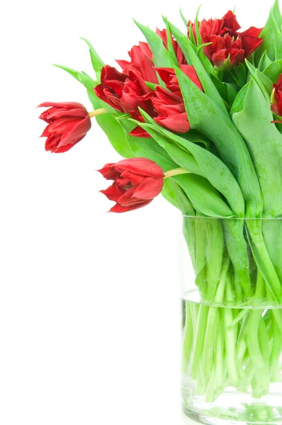 Tulpenstrauß in der Vase — Stockfoto