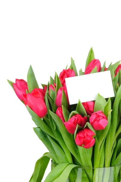 Bouquet of tulips in the vase — Stock Photo, Image