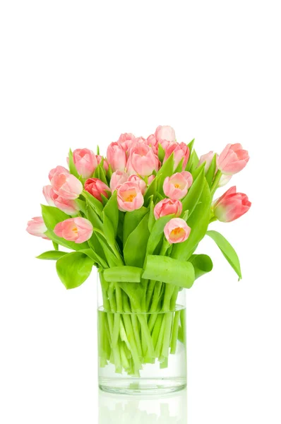 Розовые тюльпаны в вазе изолированы на белом фоне — стоковое фото