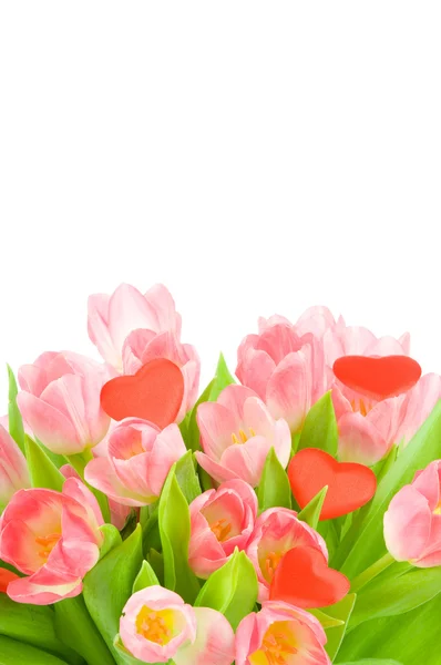 Tulipanes con corazón rojo aislados sobre fondo blanco —  Fotos de Stock