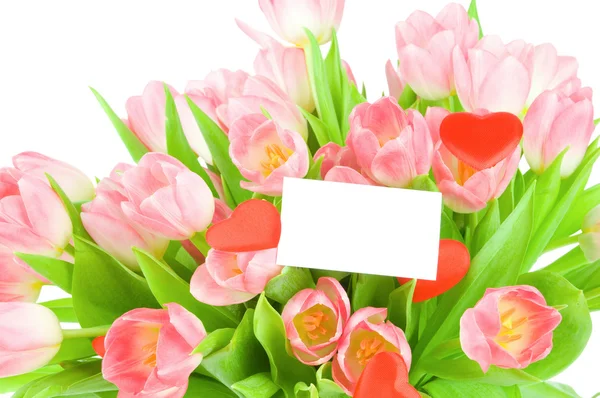 Tulips with greeting card isolated on white background — Stock Photo, Image